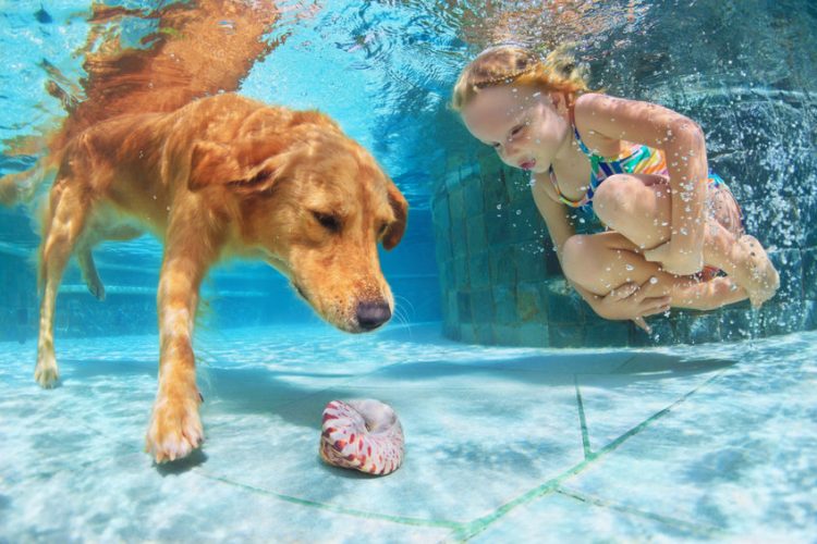 kid and dog swimming